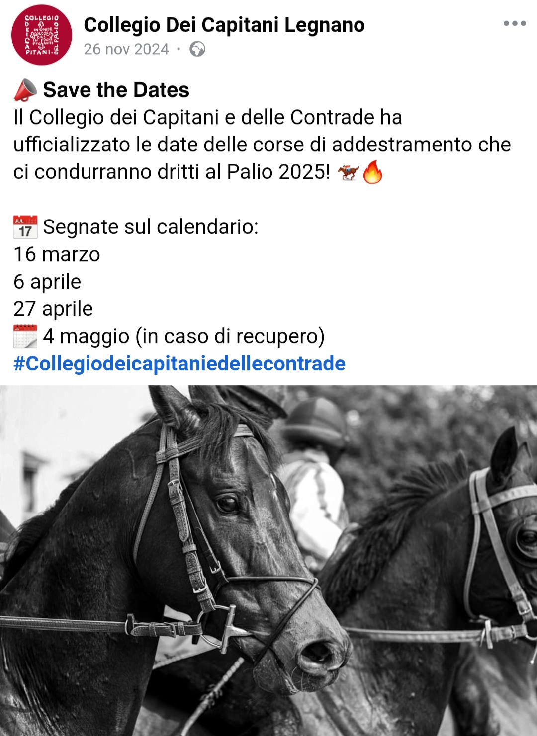 Corse addestramento Palio Legnano 2025