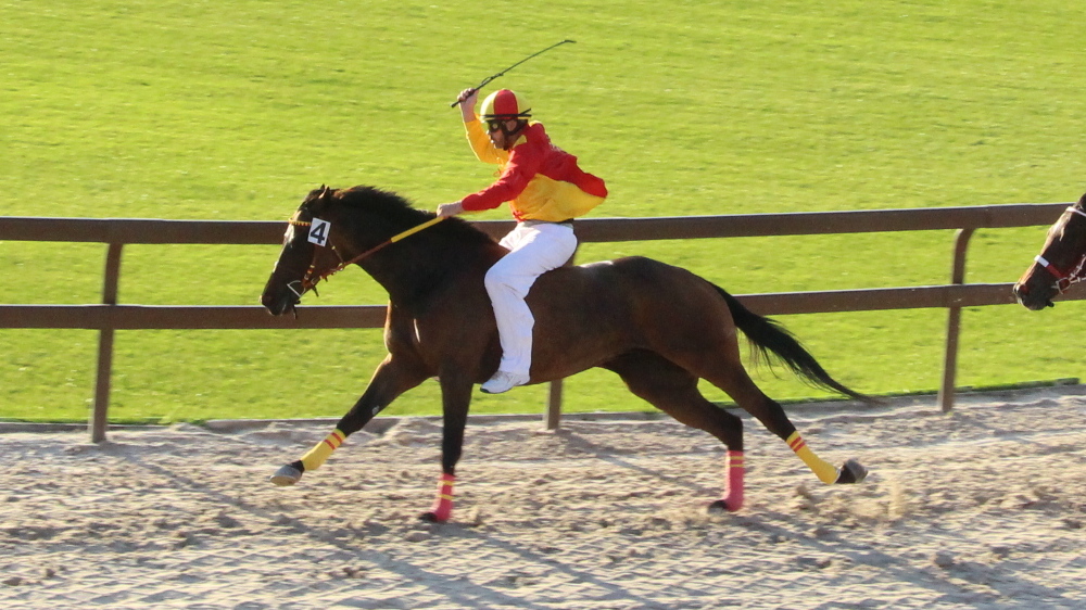Antonio Siri Amsicora Legnarello vittoria 2024