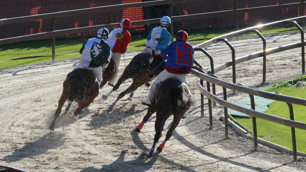 Palio di Legnano Fantini