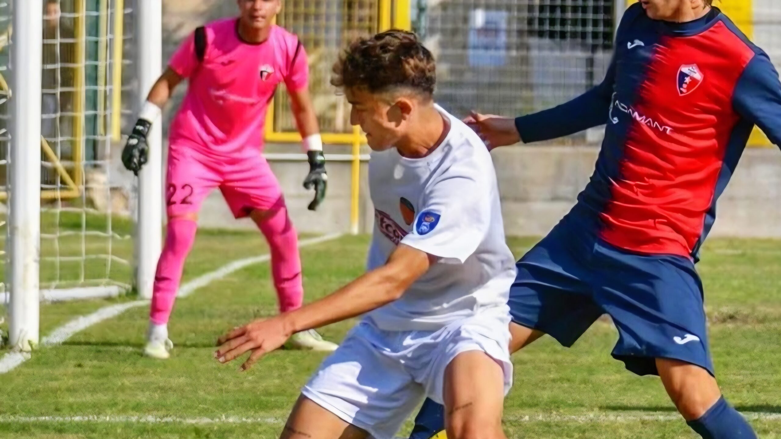 Mirko Poropat Mirko Poropat